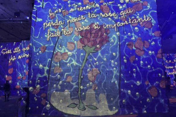 Le Petit Prince holing a rose in the Carrieres de Lumieres in Provence