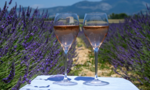 Two glasses of wine in a lavender field in Provence
